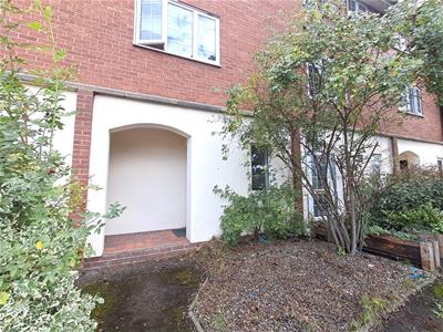 Picture 17